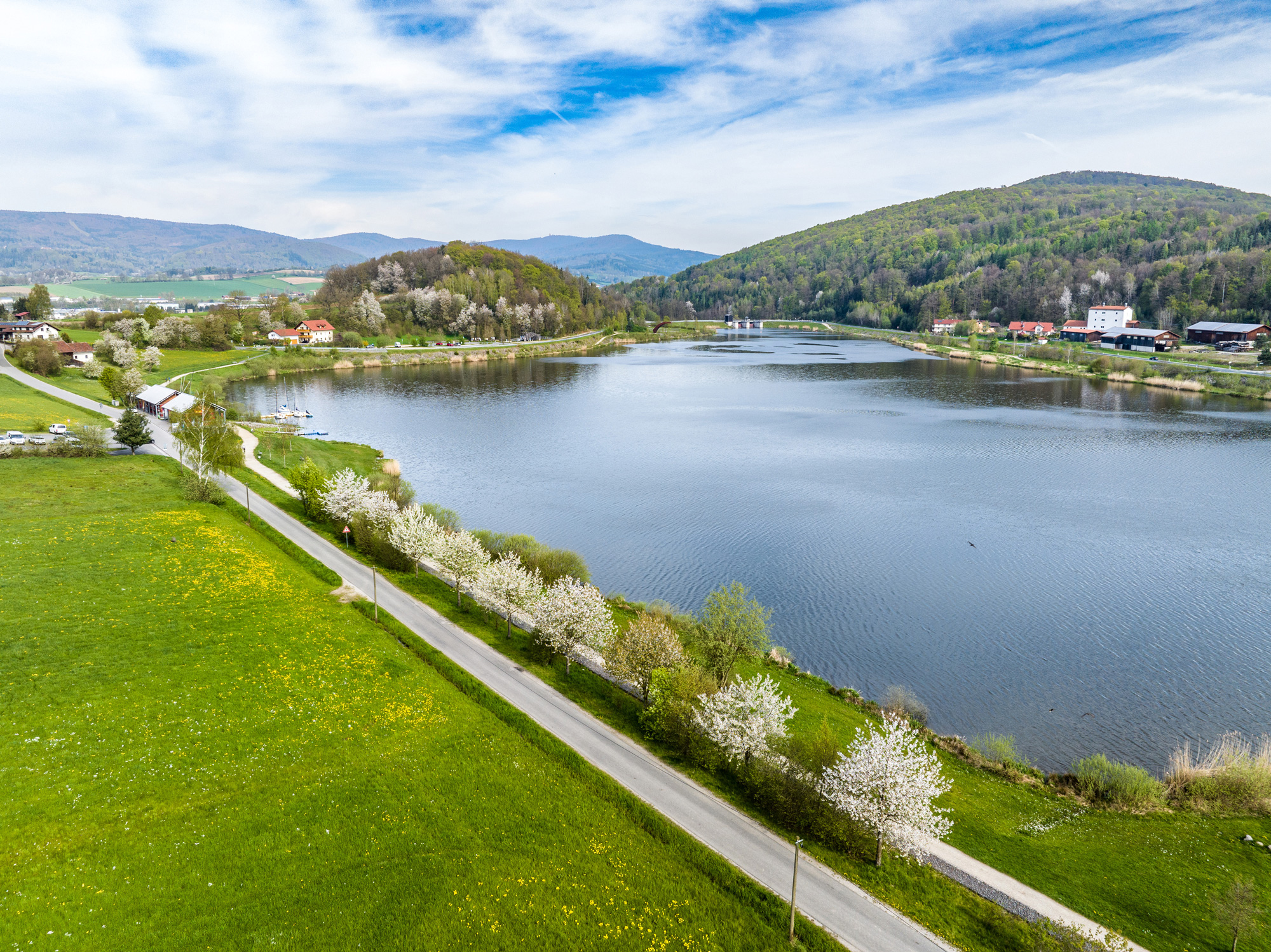 Frühling am Drachensee